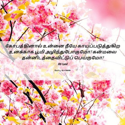 Picture 06 - யோபு 18:4 TAMIRV - கோபத்தினால் உன்னை - Bible Verse Picture