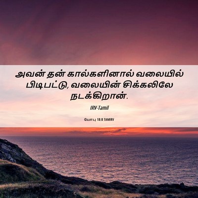 Picture 06 - யோபு 18:8 TAMIRV - அவன் தன் - Bible Verse Picture