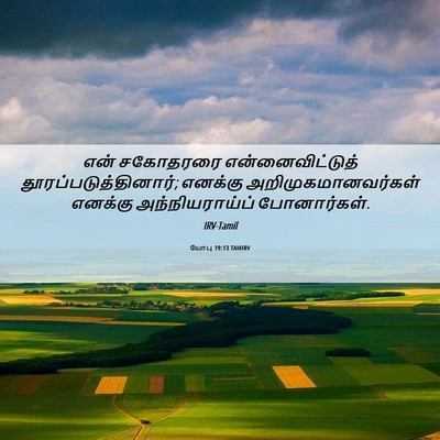 Picture 06 - யோபு 19:13 TAMIRV - என் சகோதரரை - Bible Verse Picture