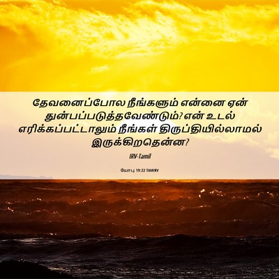Picture 06 - யோபு 19:22 TAMIRV - தேவனைப்போல - Bible Verse Picture
