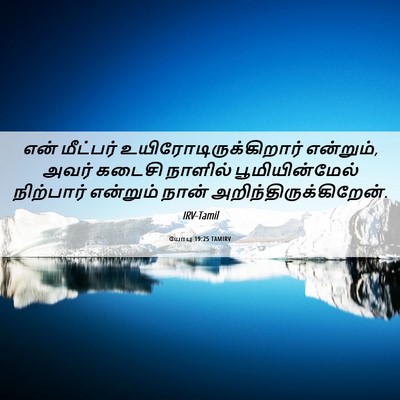 Picture 06 - யோபு 19:25 TAMIRV - என் மீட்பர் - Bible Verse Picture