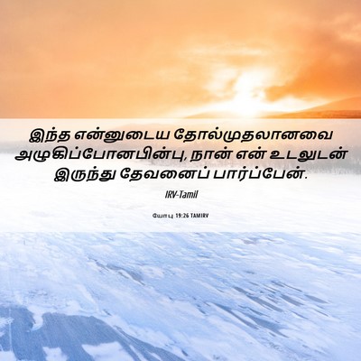 Picture 06 - யோபு 19:26 TAMIRV - இந்த என்னுடைய - Bible Verse Picture