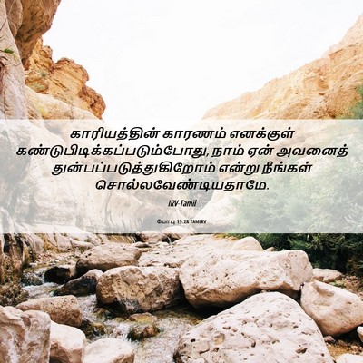Picture 06 - யோபு 19:28 TAMIRV - காரியத்தின் - Bible Verse Picture