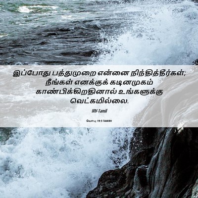 Picture 06 - யோபு 19:3 TAMIRV - இப்போது பத்துமுறை - Bible Verse Picture