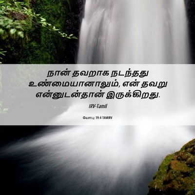 Picture 06 - யோபு 19:4 TAMIRV - நான் தவறாக - Bible Verse Picture
