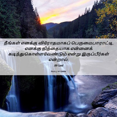 Picture 06 - யோபு 19:5 TAMIRV - நீங்கள் எனக்கு - Bible Verse Picture