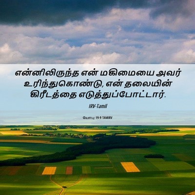 Picture 06 - யோபு 19:9 TAMIRV - என்னிலிருந்த என் - Bible Verse Picture