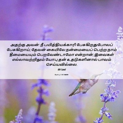 Picture 06 - யோபு 2:10 TAMIRV - அதற்கு அவன்: நீ - Bible Verse Picture