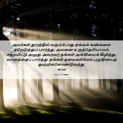 Picture 06 - யோபு 2:12 TAMIRV - அவர்கள் தூரத்தில் - Bible Verse Picture