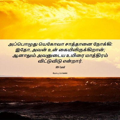 Picture 06 - யோபு 2:6 TAMIRV - அப்பொழுது யெகோவா - Bible Verse Picture