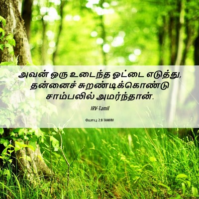 Picture 06 - யோபு 2:8 TAMIRV - அவன் ஒரு உடைந்த - Bible Verse Picture