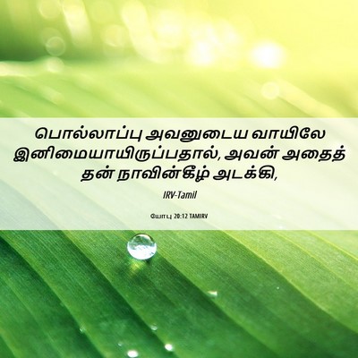 Picture 06 - யோபு 20:12 TAMIRV - பொல்லாப்பு - Bible Verse Picture