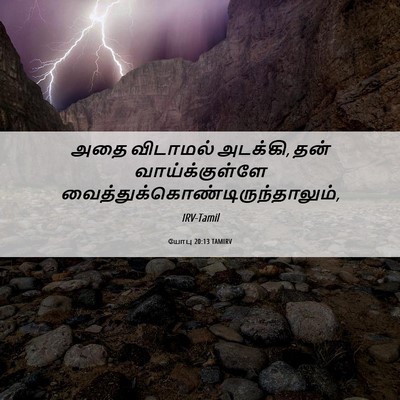 Picture 06 - யோபு 20:13 TAMIRV - அதை விடாமல் - Bible Verse Picture