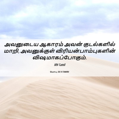 Picture 06 - யோபு 20:14 TAMIRV - அவனுடைய ஆகாரம் - Bible Verse Picture