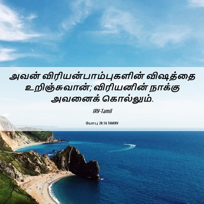 Picture 06 - யோபு 20:16 TAMIRV - அவன் - Bible Verse Picture
