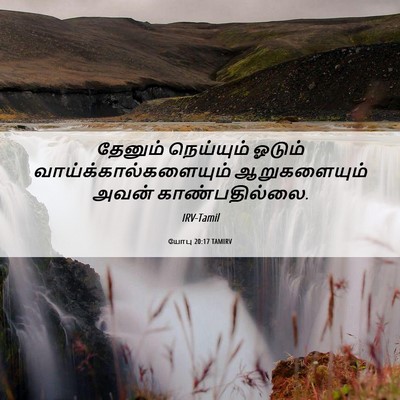 Picture 06 - யோபு 20:17 TAMIRV - தேனும் நெய்யும் - Bible Verse Picture