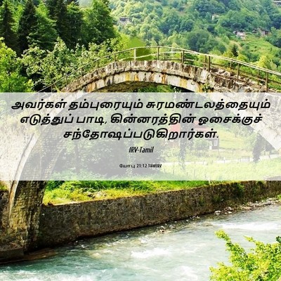 Picture 06 - யோபு 21:12 TAMIRV - அவர்கள் - Bible Verse Picture