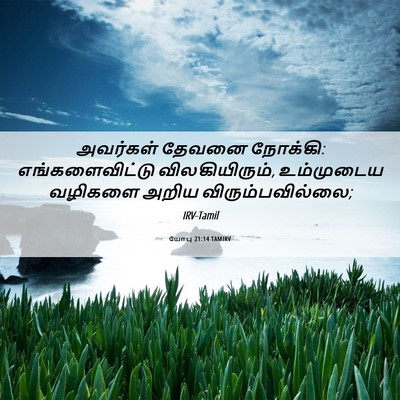 Picture 06 - யோபு 21:14 TAMIRV - அவர்கள் தேவனை - Bible Verse Picture