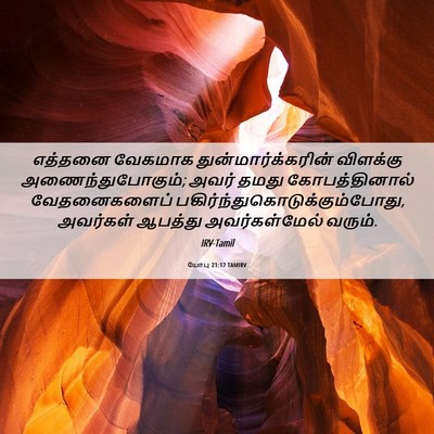 Picture 06 - யோபு 21:17 TAMIRV - எத்தனை வேகமாக - Bible Verse Picture