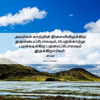 Picture 06 - யோபு 21:18 TAMIRV - அவர்கள் காற்றின் - Bible Verse Picture