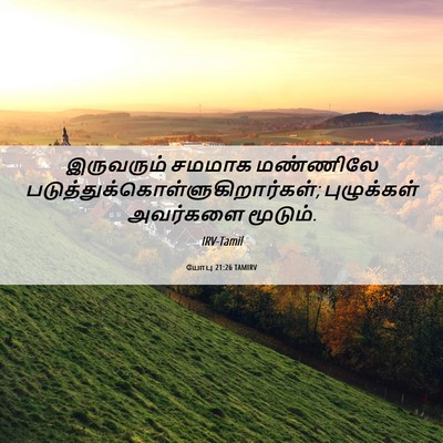 Picture 06 - யோபு 21:26 TAMIRV - இருவரும் சமமாக - Bible Verse Picture