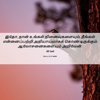 Picture 06 - யோபு 21:27 TAMIRV - இதோ, நான் உங்கள் - Bible Verse Picture