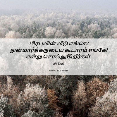 Picture 06 - யோபு 21:28 TAMIRV - பிரபுவின் வீடு - Bible Verse Picture