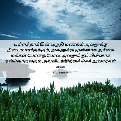 Picture 06 - யோபு 21:33 TAMIRV - பள்ளத்தாக்கின் - Bible Verse Picture
