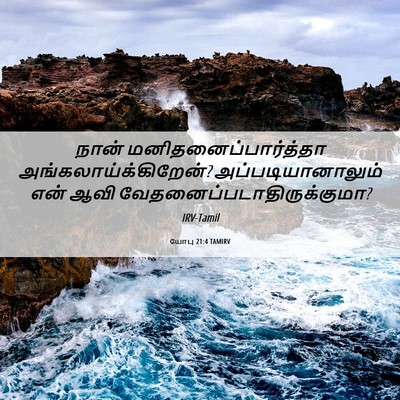 Picture 06 - யோபு 21:4 TAMIRV - நான் - Bible Verse Picture