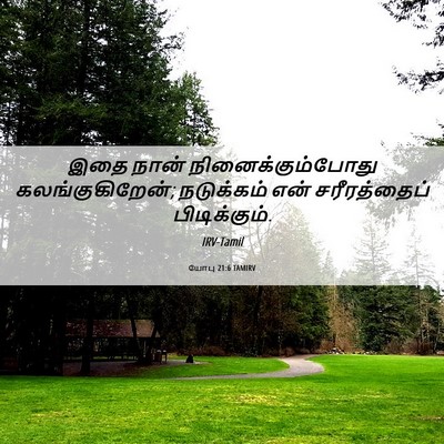 Picture 06 - யோபு 21:6 TAMIRV - இதை நான் - Bible Verse Picture