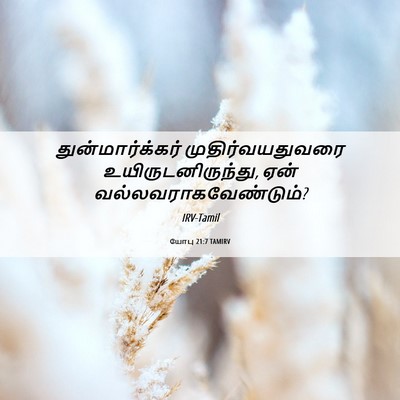Picture 06 - யோபு 21:7 TAMIRV - துன்மார்க்கர் - Bible Verse Picture