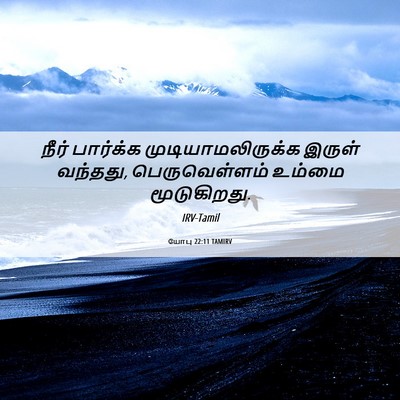 Picture 06 - யோபு 22:11 TAMIRV - நீர் பார்க்க - Bible Verse Picture