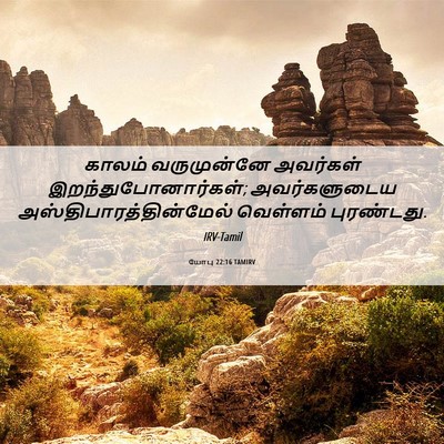 Picture 06 - யோபு 22:16 TAMIRV - காலம் வருமுன்னே - Bible Verse Picture