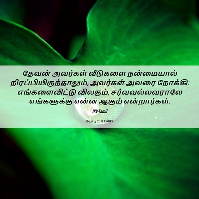 Picture 06 - யோபு 22:17 TAMIRV - தேவன் அவர்கள் - Bible Verse Picture