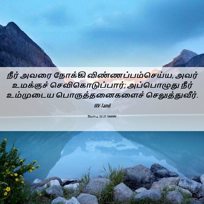Picture 06 - யோபு 22:27 TAMIRV - நீர் அவரை நோக்கி - Bible Verse Picture