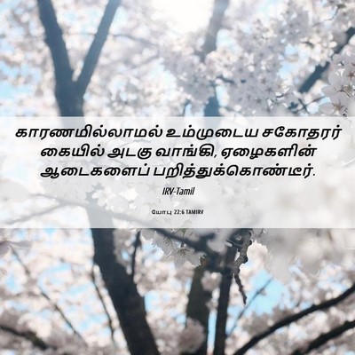 Picture 06 - யோபு 22:6 TAMIRV - காரணமில்லாமல் - Bible Verse Picture