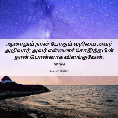 Picture 06 - யோபு 23:10 TAMIRV - ஆனாலும் நான் - Bible Verse Picture