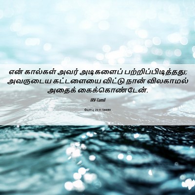 Picture 06 - யோபு 23:11 TAMIRV - என் கால்கள் அவர் - Bible Verse Picture