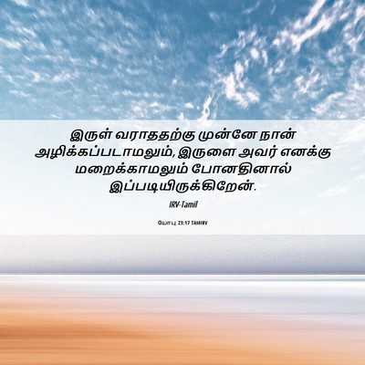 Picture 06 - யோபு 23:17 TAMIRV - இருள் வராததற்கு - Bible Verse Picture