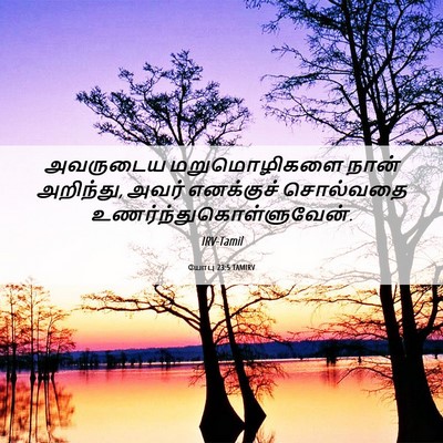 Picture 06 - யோபு 23:5 TAMIRV - அவருடைய - Bible Verse Picture