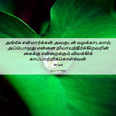 Picture 06 - யோபு 23:7 TAMIRV - அங்கே - Bible Verse Picture