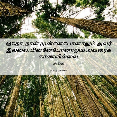 Picture 06 - யோபு 23:8 TAMIRV - இதோ, நான் - Bible Verse Picture
