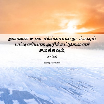 Picture 06 - யோபு 24:10 TAMIRV - அவனை உடையில்லாமல் - Bible Verse Picture