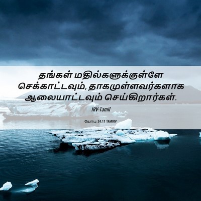 Picture 06 - யோபு 24:11 TAMIRV - தங்கள் - Bible Verse Picture