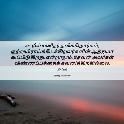 Picture 06 - யோபு 24:12 TAMIRV - ஊரில் மனிதர் - Bible Verse Picture