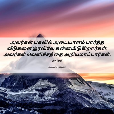 Picture 06 - யோபு 24:16 TAMIRV - அவர்கள் பகலில் - Bible Verse Picture