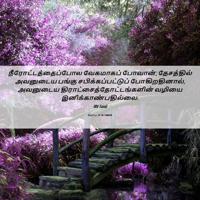 Picture 06 - யோபு 24:18 TAMIRV - நீரோட்டத்தைப்போல - Bible Verse Picture