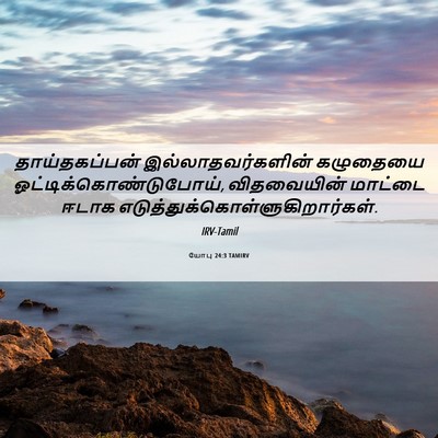 Picture 06 - யோபு 24:3 TAMIRV - தாய்தகப்பன் - Bible Verse Picture