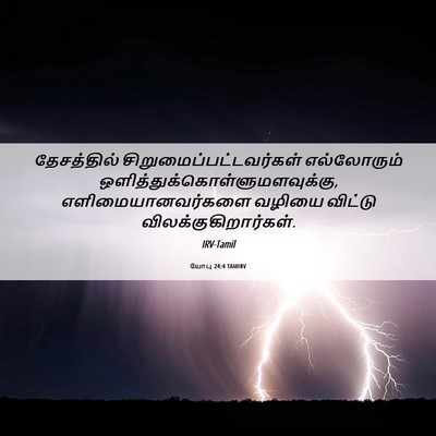 Picture 06 - யோபு 24:4 TAMIRV - தேசத்தில் - Bible Verse Picture