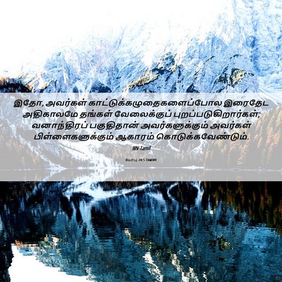 Picture 06 - யோபு 24:5 TAMIRV - இதோ, அவர்கள் - Bible Verse Picture